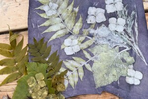 proeflapje op wit leer met blauwhout kleurdeken