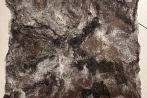 de Skuddeschapen en Samen Tuin open dag