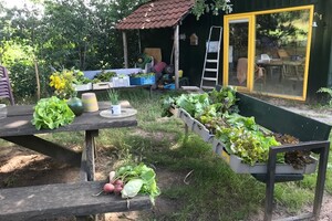 rondje Boxmeer juli 2020