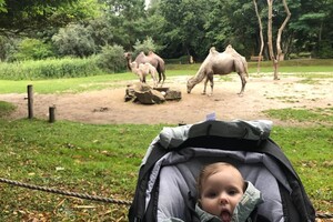 rondje Boxmeer juli 2020