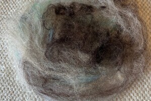 keuze-uren Canadas-de Peppels