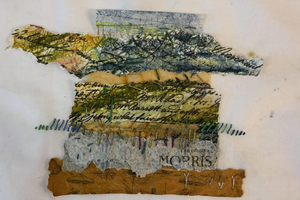 Cas Holmes Momigami landschappen