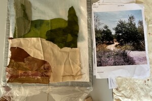 Cas Holmes Momigami landschappen