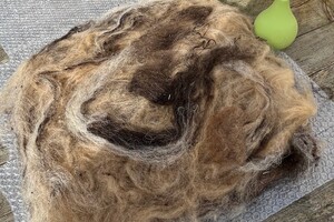 de Skuddeschapen en Samen Tuin open dag