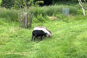 de Skuddeschapen en Samen Tuin open dag