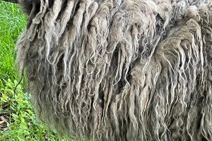 de Skuddeschapen en Samen Tuin open dag