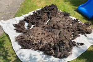 de Skuddeschapen en Samen Tuin open dag