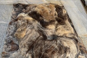 de Skuddeschapen en Samen Tuin open dag